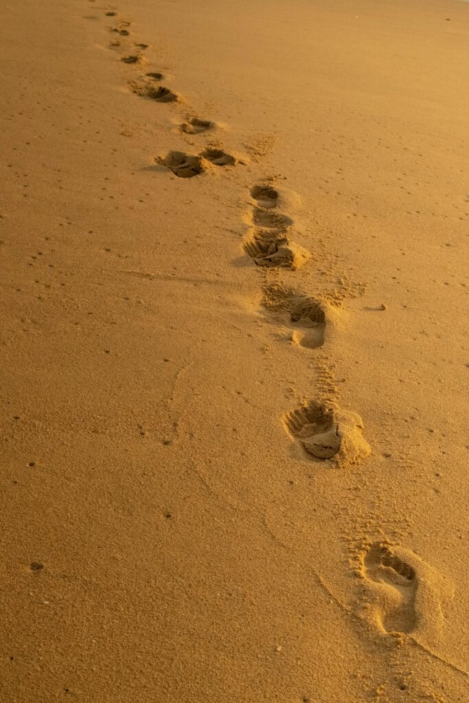 Footsteps in the sand, moving forward, though the sand might be filling our shoes metaphorically.