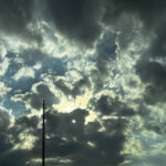 Profile photo of Wendy Chen