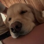 Profile photo of Peyton Phillips