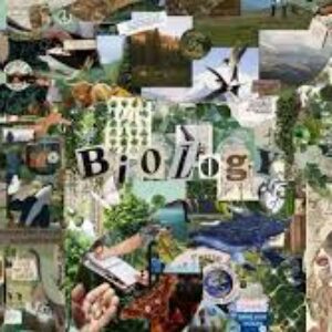 Profile photo of Tirzah Wham